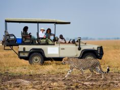 Kafue National Park - Pirschfahrt (Wilderness Safaris) Kafue National Park - Pirschfahrt (Wilderness Safaris)
