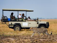 Kafue National Park - Pirschfahrt (Wilderness Safaris)