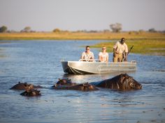 Kafue National Park - Bootsausflug (Wilderness Safaris) Kafue National Park - Bootsausflug (Wilderness Safaris)