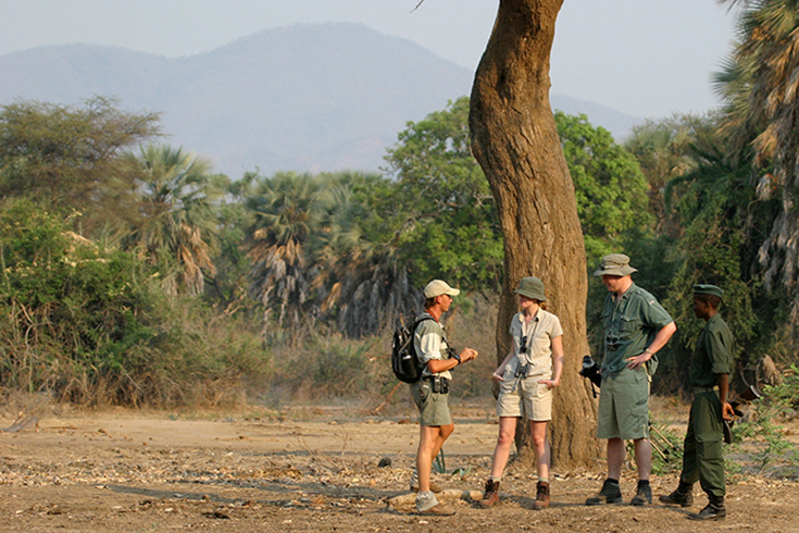 Lower Zambezi - Bush Walk