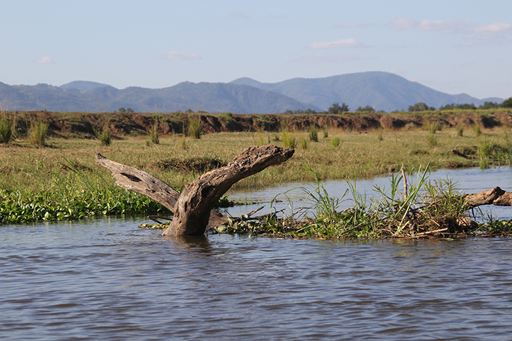 Lower Zambezi National Park