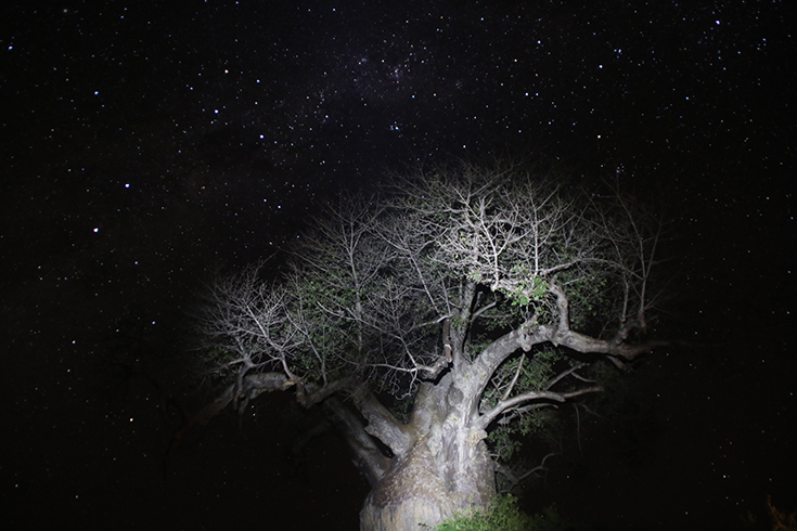 Lower Zambezi National Park