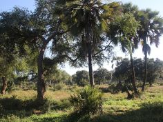 Lower Zambezi National Park Lower Zambezi National Park