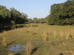 Lower Zambezi National Park Lower Zambezi National Park