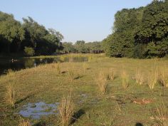 Lower Zambezi National Park