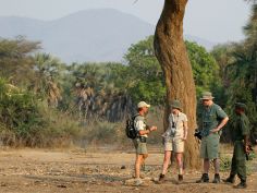 Lower Zambezi - Bush Walk