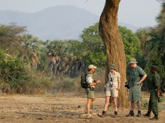 Lower Zambezi - Bush Walk Lower Zambezi - Bush Walk