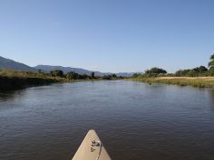 Lower Zambezi National Park - Kanuausflug