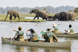 Lower Zambezi National Park
