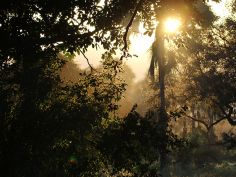 Lower Zambezi National Park