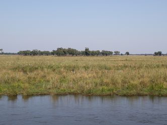 Lower Zambezi NP - Sicht nach Zimbabwe Lower Zambezi NP - Sicht nach Zimbabwe