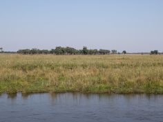 Lower Zambezi NP - Sicht nach Zimbabwe Lower Zambezi NP - Sicht nach Zimbabwe
