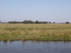 Lower Zambezi NP - Sicht nach Zimbabwe