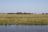 Lower Zambezi NP - Sicht nach Zimbabwe Lower Zambezi NP - Sicht nach Zimbabwe