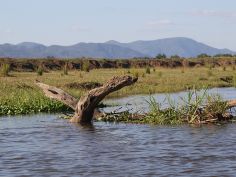 Lower Zambezi National Park Lower Zambezi National Park