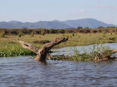 Lower Zambezi National Park