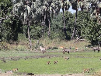 Lower Zambezi National Park Lower Zambezi National Park
