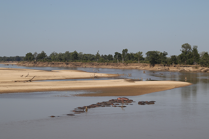 South Luangwa National Park