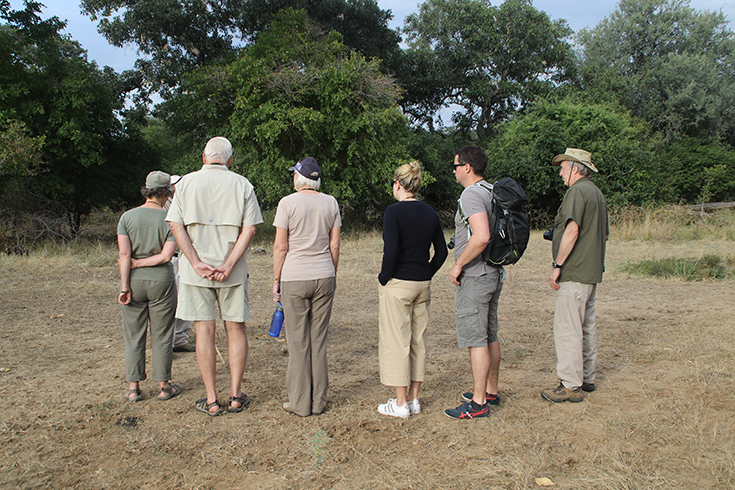 South Luangwa National Park