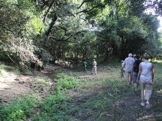 South Luangwa National Park