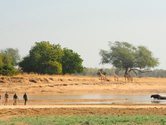 South Luangwa National Park South Luangwa National Park
