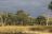 Affordable Zambia - South Luangwa National Park