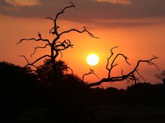 Classic Zambia - Sonnenuntergang im South Luangwa National Park