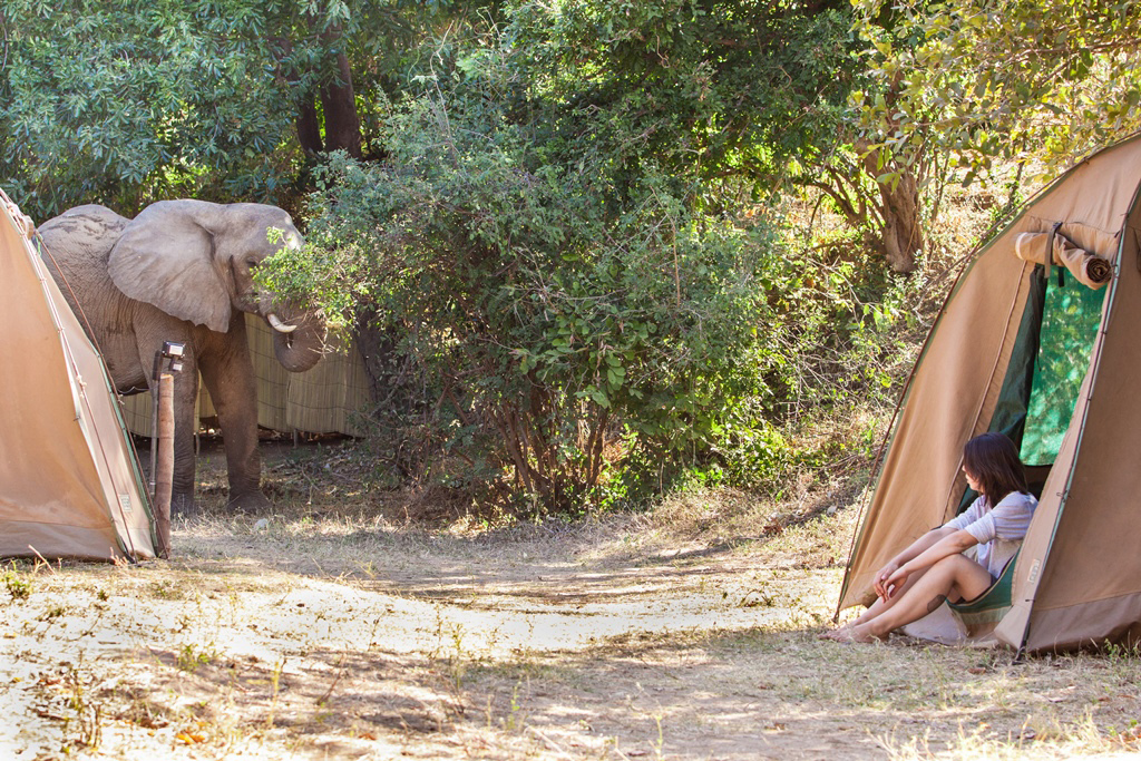 Zambezi Kanu Safari - Besuch im Camp
