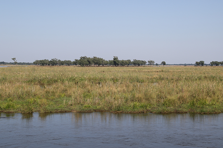 Lower Zambezi