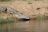 Lower Zambezi