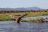 Lower Zambezi