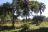Lower Zambezi