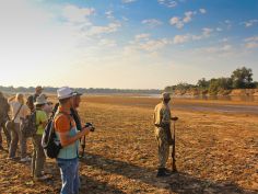 Zambia & Malawi Camping Adventure - South Luangwa National Park