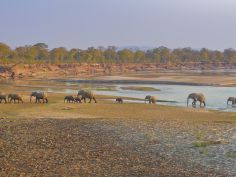 Zambia & Malawi Camping Adventure - South Luangwa National Park