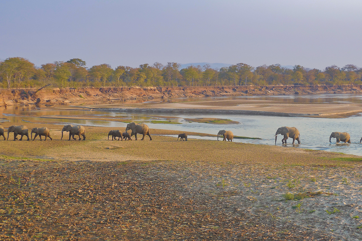 Zambia &amp; Malawi Camping Adventure - South Luangwa National Park