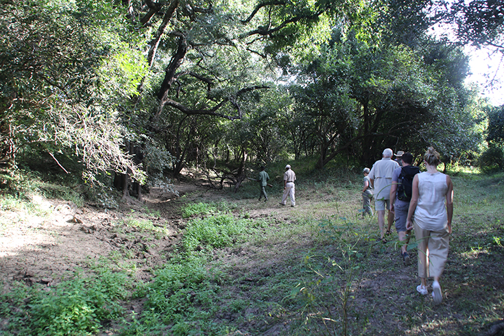 South Luangwa zu Fuss