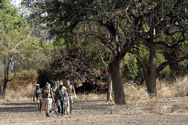 South Luangwa zu Fuss