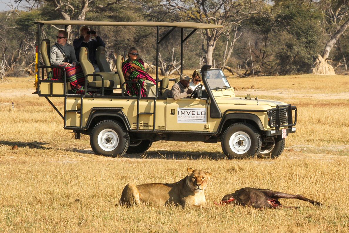 Camelthorn Lodge - Game Drive