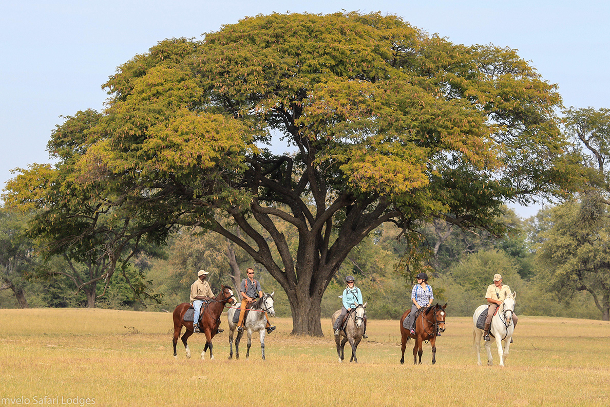 Camelthorn Lodge - Reiten