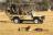 Camelthorn Lodge - Game Drive