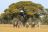 Camelthorn Lodge - Reiten