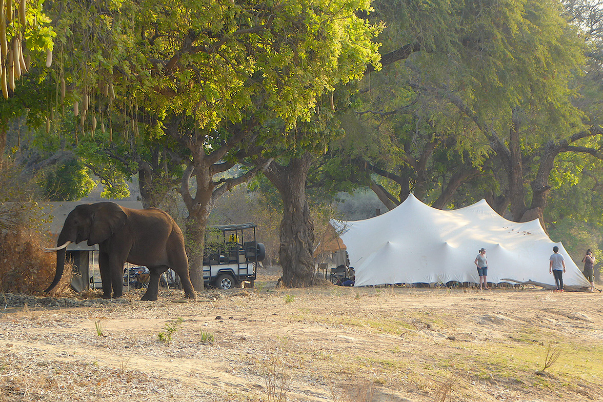 Camp Mana