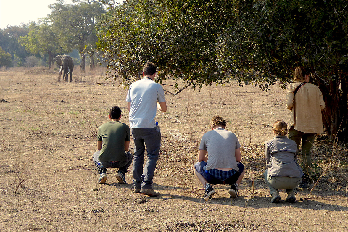 Camp Mana - Wanderung im Mana Pools National Park