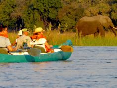 Camp Mana - Kanutour auf dem Zambezi