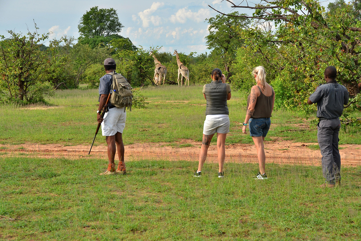 Chundu Island - Bush Walk