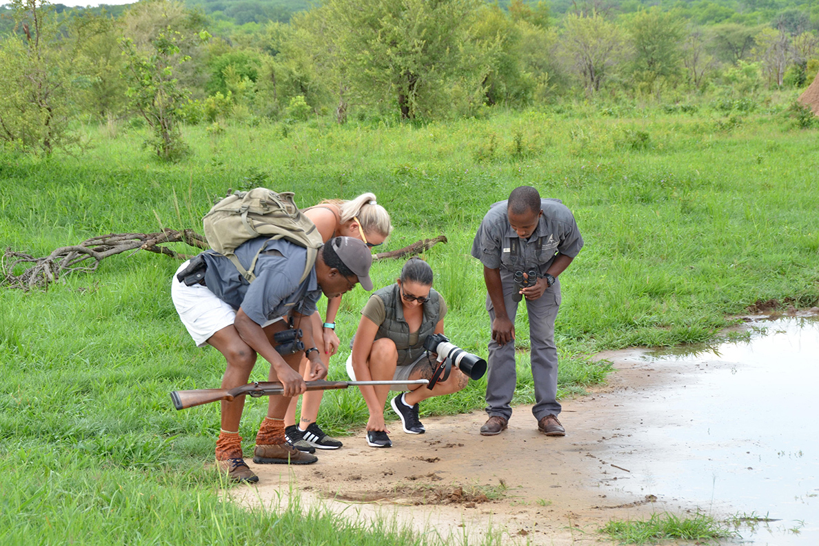 Chundu Island - Bush Walk