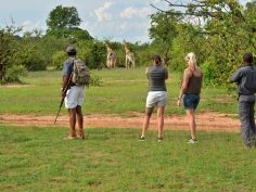 Chundu Island - Bush Walk