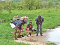 Chundu Island - Bush Walk