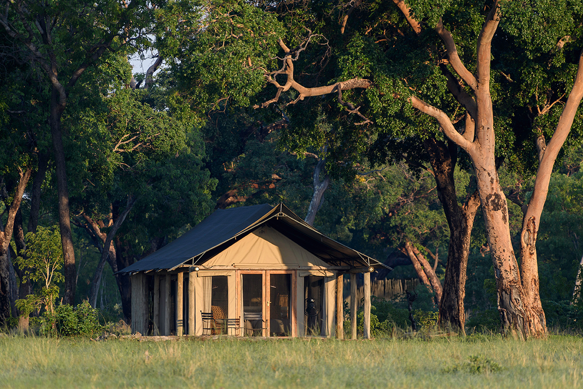 Davison's Camp - Zelt Zimmer