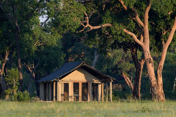 Davison's Camp